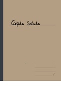 Samenvatting  geschiedenis van de middeleeuwen, Capita Selecta