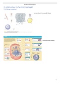 Samenvatting anatomie en fysiologie 1&comma; hoofdstuk 3&colon; cytologie