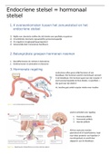Samenvatting anatomie & fysiologie 1, hoofdstuk 10: het endocriene stelsel