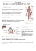Samenvatting anatomie & fysiologie 1, hoofdstuk 12: het cardiovasculaire stelsel - het hart