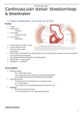 Samenvatting anatomie & fysiologie 1, hoofdstuk 13: het cardiovasculaire stelsel - bloedvaten en bloedsomloop