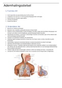 Samenvatting anatomie & fysiologie 1, hoofdstuk 15: het ademhalingsstelsel