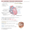 Anatomía, fisiología y histología del corazón 