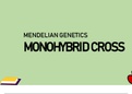 Presentation Science Genetics (monohybrid cross)