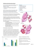 Chronic Obstructive Pulmonary Disease information sheet