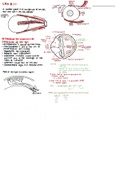 Class notes BI-301 Anatomy And Physiology 1 