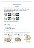 Neuropsychology notes 