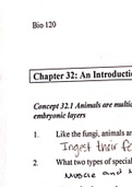 Chapter 32 Animal Diversity 