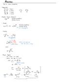 CHEM2325_3332_Ch_19_Notes_Amines