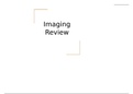 BIO 202L Imaging review 2023