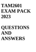 tam2601 exam pack 2023
