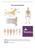 anatomische naamgeving, plaatsbepalende begrippen, celleer/beenderstelsel 