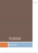 THE ABDOMEN