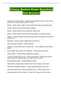Urinary System Exam Questions And Answers