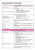 Begrippenlijst  Orthopedagogiek - Handicaps (P0L41a)
