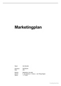Marketingplan Marketing in de Stad | 8,1