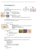 Samenvatting microbiologie, deeltentamen 1