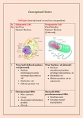 cell types