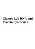 Gizmos Lab RNA and Protein Synthesis 2