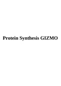 Protein Synthesis GIZMO