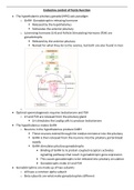 Endocrine Control of Testis Function