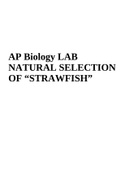AP Biology LAB NATURAL SELECTION OF “STRAWFISH”  2023/2024