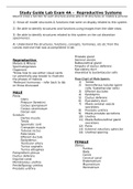 Reproductive System Study Guide 