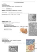 WJEC (England) Eduqas A-Level Biology - Core Concepts - 2. Cells