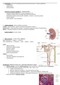 WJEC (England) Eduqas A-Level Biology 3. Requirements for life - 4. Homeostasis & Kidney