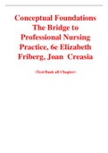 Conceptual Foundations The Bridge to Professional Nursing Practice, 6e Elizabeth Friberg, Joan  Creasia (Test Bank)
