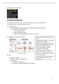 Hematologie 2: Immunologie en immunopathologie (WBC)