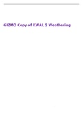 GIZMO Copy of KWAL 5 Weathering