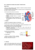 Hematología: Sangre y hematopoyesis