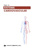 notas de clase para sistema cardiovascular