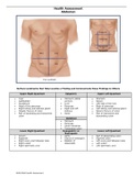 abdomen assessment overview