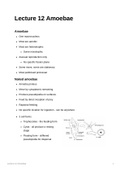 BIOL 121 Impact of Microbes Full Lecture Notes