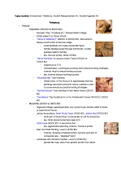 Test 1 Notes for History of Art 1 (ID 2241): Prehistory, Ancient Mesopotamian