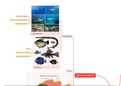 Dierkunde : Vissen / Pisces  (mindmap)
