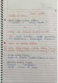 Renal system BSc nursing hand written note MSN