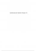 Cardiovascular System Chaper 12 class summary - exam prep Course Pathophysiology &lpar;NR-283&rpar; &vert; Questions and Verified Answers&vert; 100&percnt; Correct Latest Update 2024 &sol; 2025