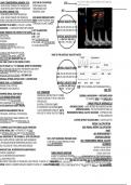 Vascular Sonography Registry Exam Preparation 