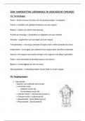 Samenvatting 3V&colon; ZOM patologie 1&colon; abdominale heelkunde 