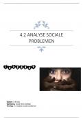 4&period;2 analyse sociale problemen &lpar;behaald met een 8&excl;&rpar;