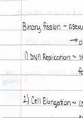 Mitosis&comma; Meiosis&comma; and Mendel Laws