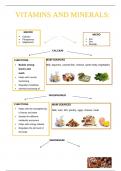 vitamins and minerals 