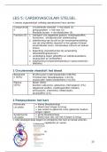 volledige samenvatting anatomie