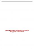 Human Anatomy & Physiology 1 &lpar;SCB 203&rpar;&vert; study guide lectures 23-25