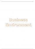 Exam &lpar;elaborations&rpar; Business Environment