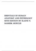 Exam &lpar;elaborations&rpar; Essentials of Human Anatomy and Physiology