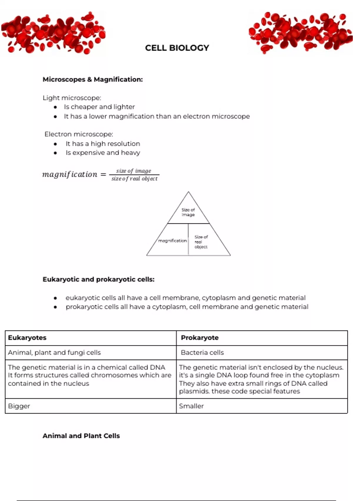 Summary AQA GCSE Biology - Cell Biology Notes - Science - Stuvia UK